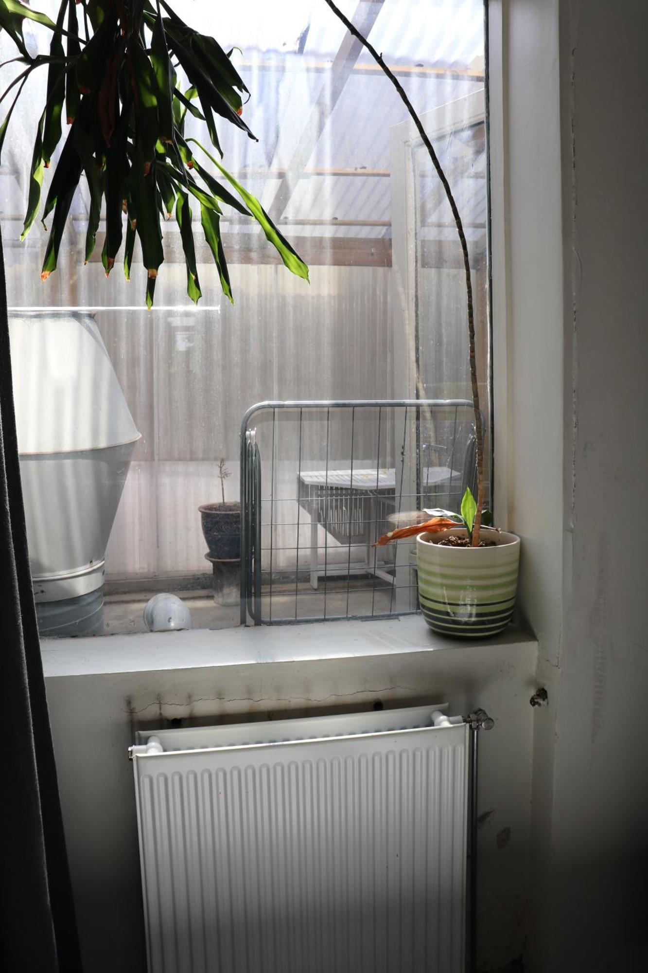 Reykjavik Antique Rentals 외부 사진